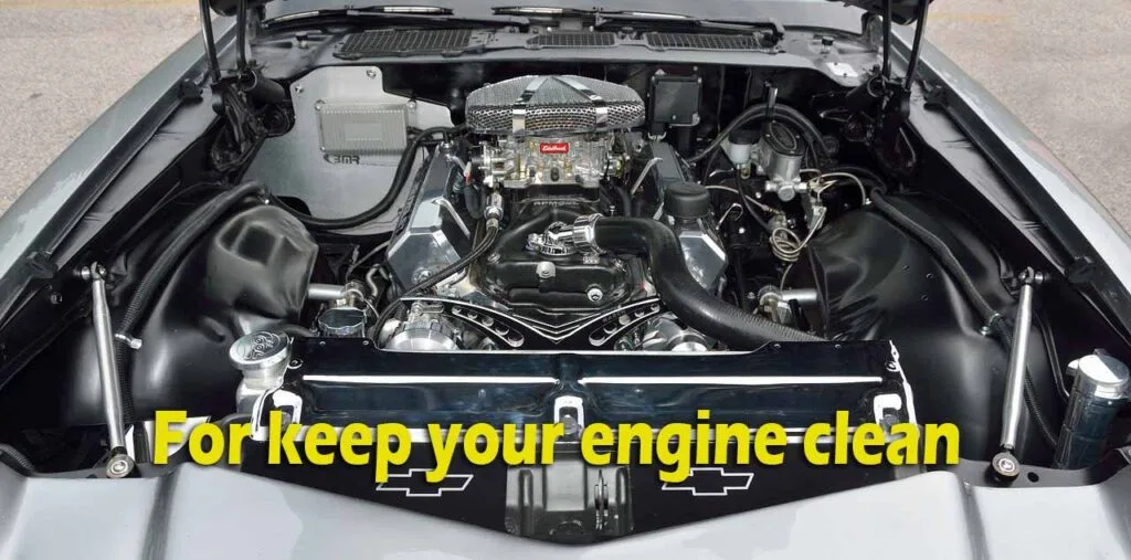 clean engine using seafoarm